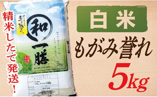 【令和8年産】【白米】山形県産もがみ誉れ5kg