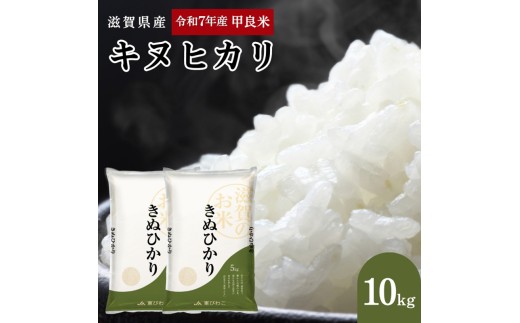 
            【先行予約】令和7年産甲良米「キヌヒカリ」白米 10kg　お米 こめ コメ おこめ 白米 キヌヒカリ 
          