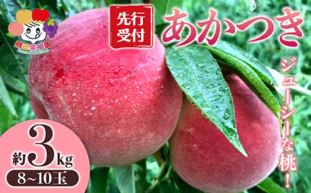 ＜先行予約＞ジューシーな桃 あかつき 約3kg（8～10玉） F21R-878