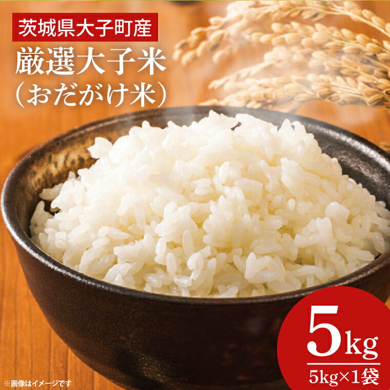 【ふるさと納税】厳選大子米（おだがけ米）5kg |お米 白米 コシヒカリ 大子町 茨城県 （AJ009）