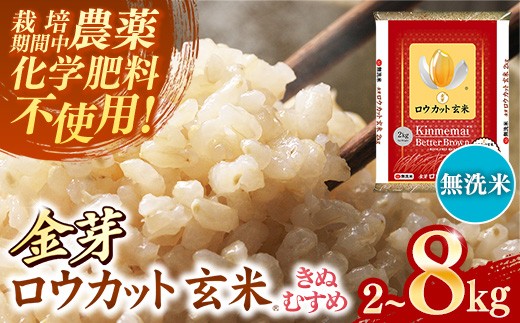 
                  【選べる容量】 8kg / 4kg / 2kg 金芽ロウカット玄米 島根県産 きぬむすめ ≪ 栽培期間中 農薬・化学肥料不使用 ≫【令和7年産 ロウカット 玄米 時短 食物繊維 無洗米 金芽米 小分け 新生活応援 お試し 食べやすい 安来市 東洋ライス 】
                
