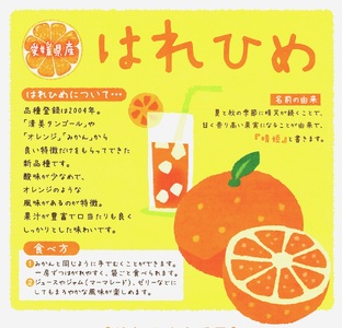 【先行予約】 訳あり 晴姫 はれひめ 5kg みかん 蜜柑 柑橘 かんきつ 果物 くだもの ジュース 冬 旬 季節限定 期間限定 数量限定 厳選 産地直送 わけあり 訳あり 傷 きず サイズ混合 サイ