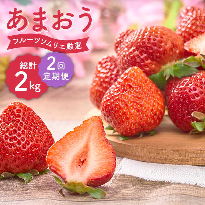 【ふるさと納税】【全2回定期便】福岡産 いちご【春】あまおう 4パック＜南国フルーツ株式会社＞那珂川市 | 定期便 フルーツ 果物 いちご 苺 イチゴ あまおう 定期便 福岡産 [GCD043] 20000 20000円 2万円 以上