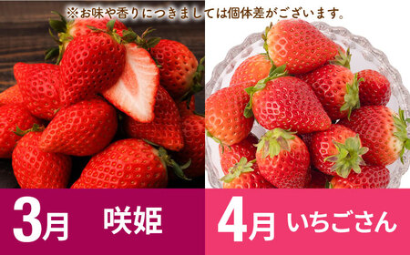 【R8年1月以降発送】【全7回定期便】赤いちご4種と佐賀牛のセット / いちご 牛肉 [IZZ028]