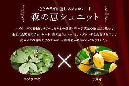 グッドヘルシーチョコ「森の恵」ビター18枚入り　≪ハート≫ BO-008