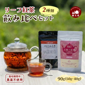 リーフ紅茶 2種 飲み比べセット 90g（40g＋50g） 国産 栽培期間中 農薬不使用 紅茶