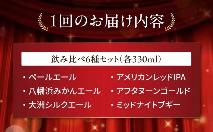 クラフトビール【全12回定期便】飲み比べ6種セット 計6本　愛媛県大洲市/株式会社　アライ[AGAY068]