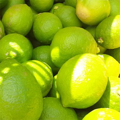 ふるさと納税 広川町 【国産】農家直送!　紀州レモン　約3kg