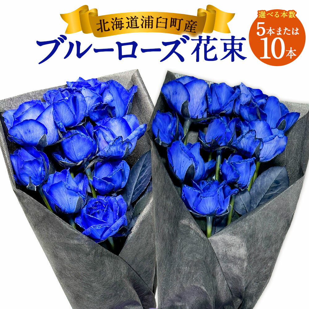 【ふるさと納税】《選べる本数》ブルーローズ（花束） 5本 / 10本 花 植物 バラ 薔薇 ローズ ブルー 青 ブルーローズ 青バラ花束 ブーケ 生花 贈り物 プレゼント ギフト お祝い 記念日 誕生日 北海道 浦臼町 送料無料