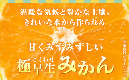 【先行予約】極早生みかん 約10kg　2S〜2Lサイズ　【くまふる】[ZBG054]