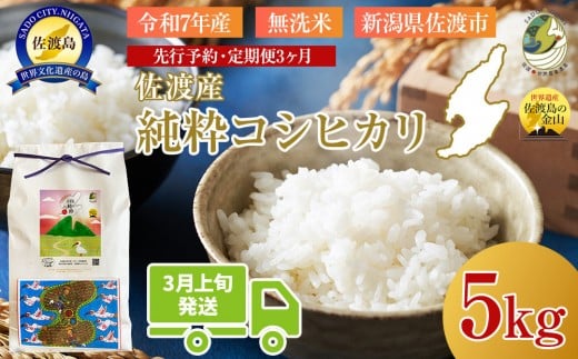 ＜定期便3回＞【令和７年産・数量限定】新潟県佐渡産の純粋コシヒカリ　精米【無洗米】5kg×3回　送料無料　R8年  3月上旬～R8年5月上旬の3回送付