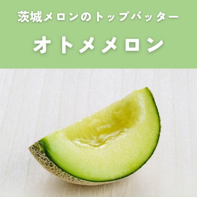 茨城県産オトメ・クインシーメロンセット優品または秀品3L以上2玉入【2026年4月下旬以降順次発送】【配送不可地域：離島・北海道・沖縄県・中国・四国・九州】