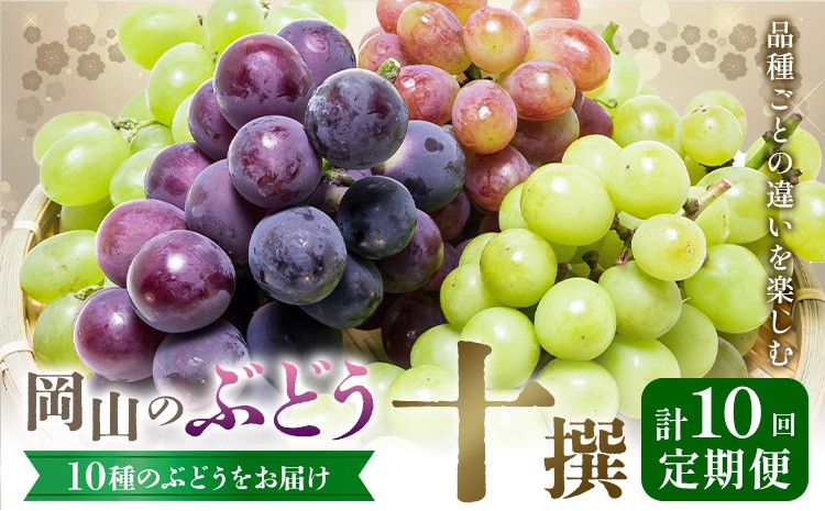 
                  【2027年発送先行予約】ぶどう 4ヶ月 計10回 定期便 岡山 の ぶどう 十撰 10種 各700g 計7kg 晴れの国おかやま館(漂流岡山)《2027年8月上旬-11月下旬頃出荷》岡山県 笠岡市 ぶどう マスカット 果物 フルーツ デザート 送料無料 【配送不可地域あり】（離島）
                