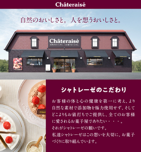 【シャトレーゼ】バニラ＆チョコアイスバラエティセット  アイス バニラアイス チョコアイス バニラ チョコ 食べ比べ チョコバッキー CHATERAISE PREMIUM ふっくらシューアイス ショコ