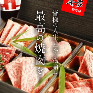 函館市 焼肉物語牛若 お試し牛タン食べ比べセット！520g 焼肉 牛タン 肉 牛タン 牛肉 牛タン ねぎ塩 肉 北海道 牛タン 函館市 牛タン お取り寄せ 送料無料_HD048-012