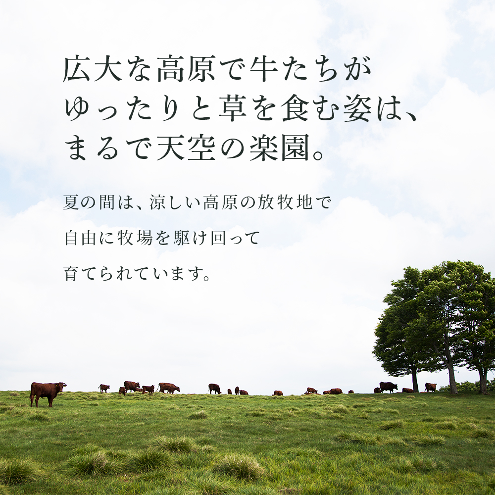 日本短角種かづの牛 切り落とし 630g【秋田県畜産農業協同組合】