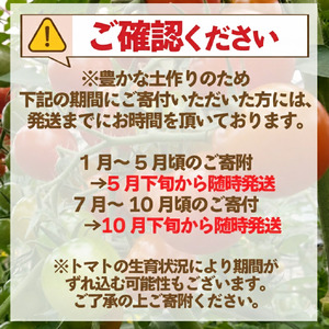 トマト 就労支援 沼津市 ミニトマト