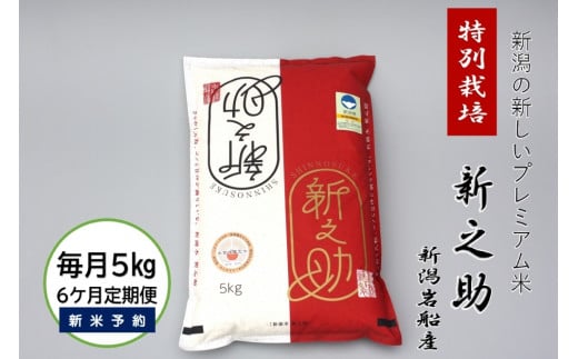 【新米受付・令和7年産米】【6ヶ月定期便】食味鑑定士板垣謹製 新潟県村上市岩船産 特別栽培 新之助 5kg×6ヶ月 1039032N ｜ 連続 毎月 お届け 新耕農産 一等米 プレミアム米 農家直送 低温倉庫保管