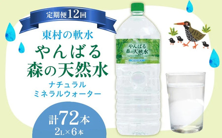定期便12回 東村の軟水【やんばる 森の天然水】　2L×6本