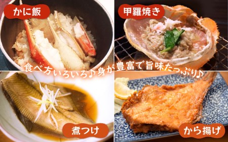 「訳あり 指折れ 越前がに（中）3杯」+ 「干しカレイ 6尾」【1月発送分】 食べ方しおり かにスプーン付き【雄 ズワイガニ ずわいがに 越前ガニ 姿 ボイル 冷蔵 福井県】希望日指定可 備考欄に希望