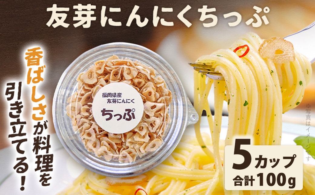 
                  友芽にんにくちっぷ 5個 にんにく ガーリックチップ 友芽にんにく ガーリック にんにくスライス 調味料 トッピング サラダ パスタ ラーメン カレー 炒め物 長期保存 便利
                