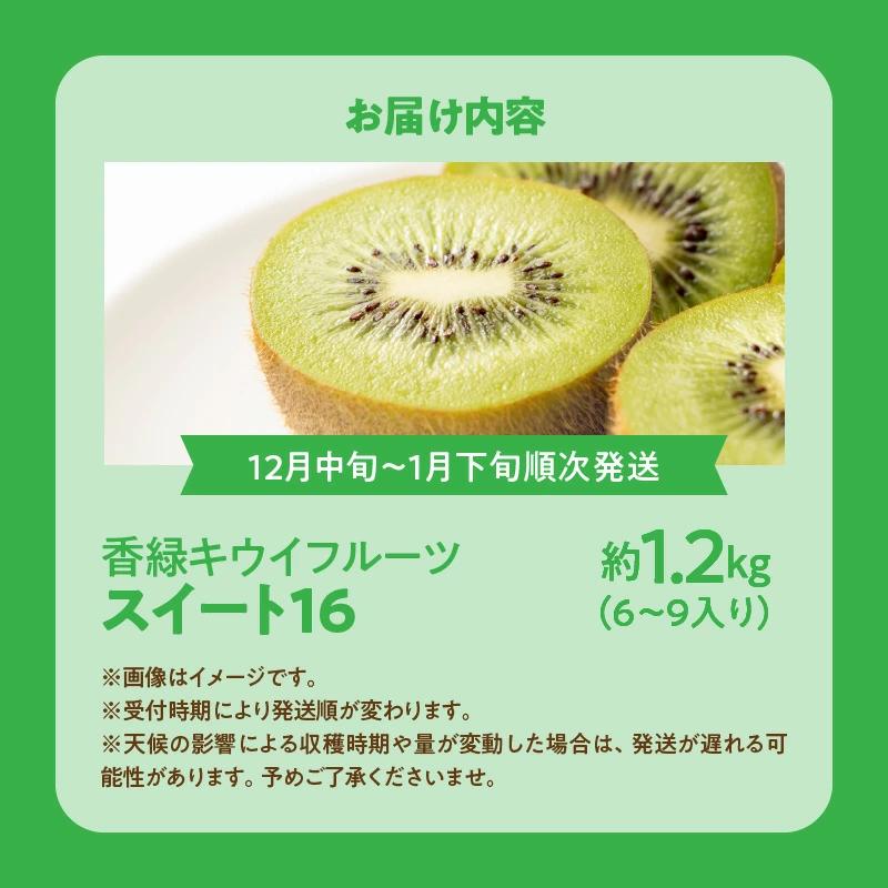 M72-0020_【ふるさと納税】【配送不可地域：北海道・沖縄県・離島】香緑キウイ 期間限定 キウイ 約 1.2kg 認定品 最上級品 スイート16 キウイフルーツ 1箱 三豊市 お取り寄せ お取り寄