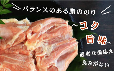 地鶏 愛媛 媛っこ地鶏 もも肉 約4kg ローカルスタンダード 愛媛 愛南