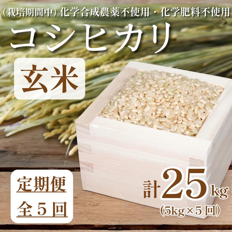 【ふるさと納税】 【健康志向の方に】 玄米 定期便 5回 米 コシヒカリ 計25kg 5kg × 5回 お米 おこめ こめ ごはん 国産 白飯 ご飯 TKG 卵かけご飯 おにぎり おむすび 新生活 ふるさと ランキング 栄養 健康 安全 化学合成農薬不使用 いのち育む田んぼ米 生物多様性 送料無料