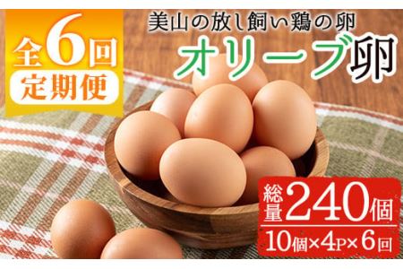 No.779 ＜定期便・全6回(連続)＞鹿児島県産美山オリーブ卵(40個×6ヶ月連続) 割れ保証付 国産 九州産 鹿児島県産 たまご タマゴ オリーブ 卵 鶏卵 生卵 おかず TKG 卵かけご飯 朝食 定期便 頒布会 数量限定【美山たまご王国】