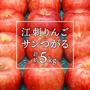 数量限定 江刺りんご サンつがる 5kg(16～20玉) 【9月中旬以降お届け】離島配送不可 [AQ022]
