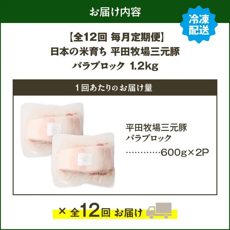 【 全12回 毎月 定期便 】 日本 の 米育ち 平田牧場 三元豚 バラ ブロック 1.2kg T036-T09-03 肉 豚肉