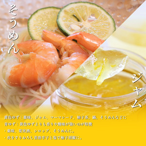 訳あり ゆず 有機ゆず 黄色ゆず 良品 3kg オーガニック 柚子 有機JAS 黄色柚子 健康 美容 柑橘 みかん フルーツ 果物 薬味 ジャム マーマレード 鍋 そうめん 柚子胡椒 果実酒 シロップ