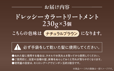ダリヤ サロンドプロ ドレッシーカラートリートメント 3個セット【ナチュラルブラウン】 / 稲沢市 / 日興商事株式会社 [BMBK002-01]
