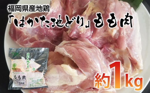 
福岡県産地鶏「はかた地どり」もも肉(約1kg)【田川市】
