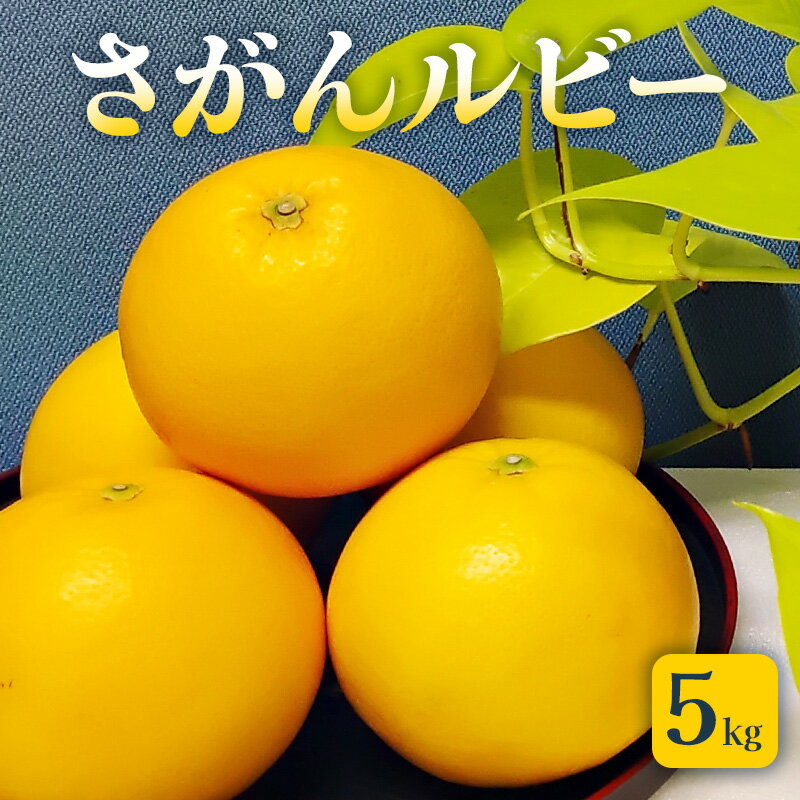 【ふるさと納税】グレープフルーツ さがんルビー 5kg 柑橘 果物 フルーツ デザート ※配送不可:離島　お届け：2026年3月中旬～4月上旬まで
