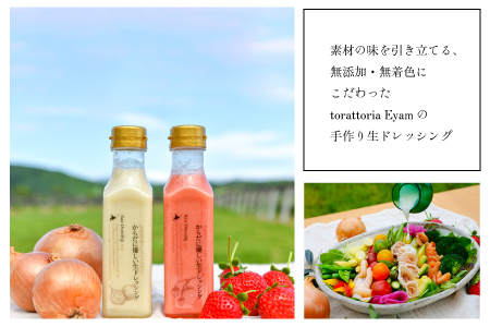 【家庭用】からだに優しい『生ドレッシング』定期便(全3回)[52-1326]