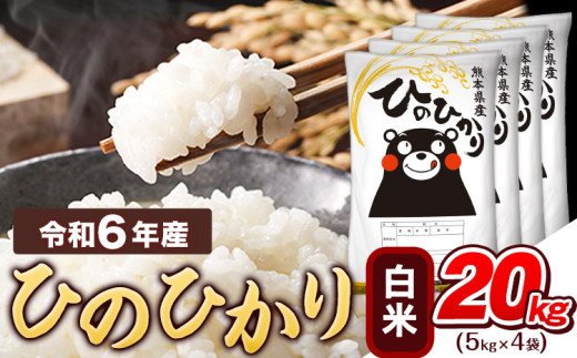 令和6年産  白米 ひのひかり 20kg 《7-14営業日以内に出荷予定(土日祝除く)》熊本県産 ふるさと納税 精米 ひの 米 こめ ふるさとのうぜい ヒノヒカリ コメ お米 おこめ