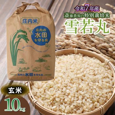 ふるさと納税 鶴岡市 【令和7年産】斎藤農場の特別栽培米 雪若丸(玄米) 10kg×1袋 [K-7117]