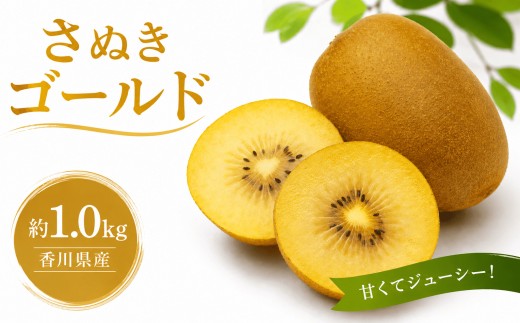 
                  香川県産 ゴールドキウイ さぬきゴールド 約1.0kg 10月から順次発送 国産 キウイ 国産キウイ 旬 新鮮 厳選 フルーツ 人気 家庭用 高品質 ギフト 香川県 丸亀市
                