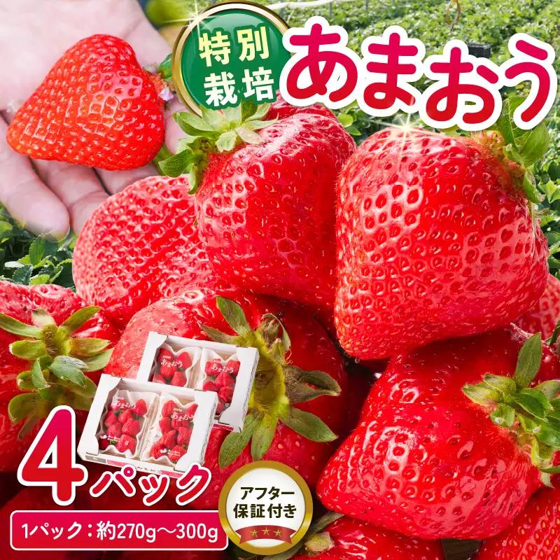 【2026年11月から順次発送】特別栽培あまおう 4パック ふくおかエコ農産物_いちご あまおう 果物 フルーツ〔Fi003〕