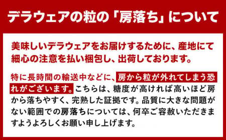 【2025年先行予約】デラウェア 約1kg(4パック) 有限会社なかむら農園《2025年6月上旬-7月下旬頃出荷》大阪府 羽曳野市 ぶどう ブドウ 葡萄 送料無料 産地直送 大阪 デラウェア 2025
