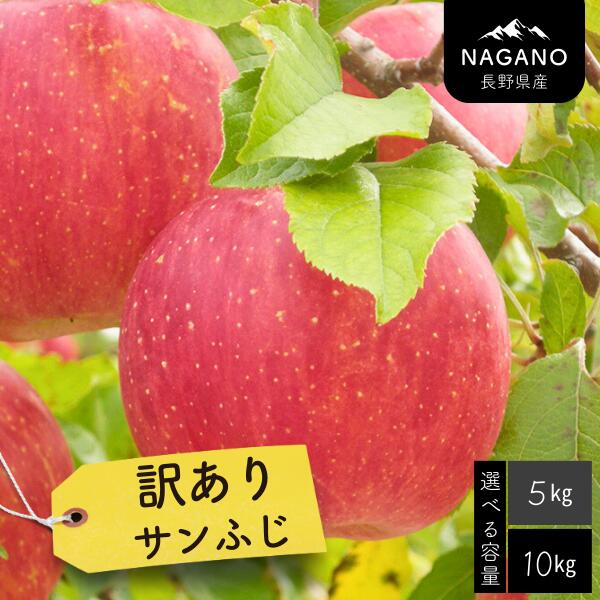 【ふるさと納税】りんご 訳ありサンふじ 約5キロ or 10キロ／2026年1月上旬～2月上旬頃配送予定 // 長野県 南信州 サンふじ りんご 果物 フルーツ フードロス MS17 MS18