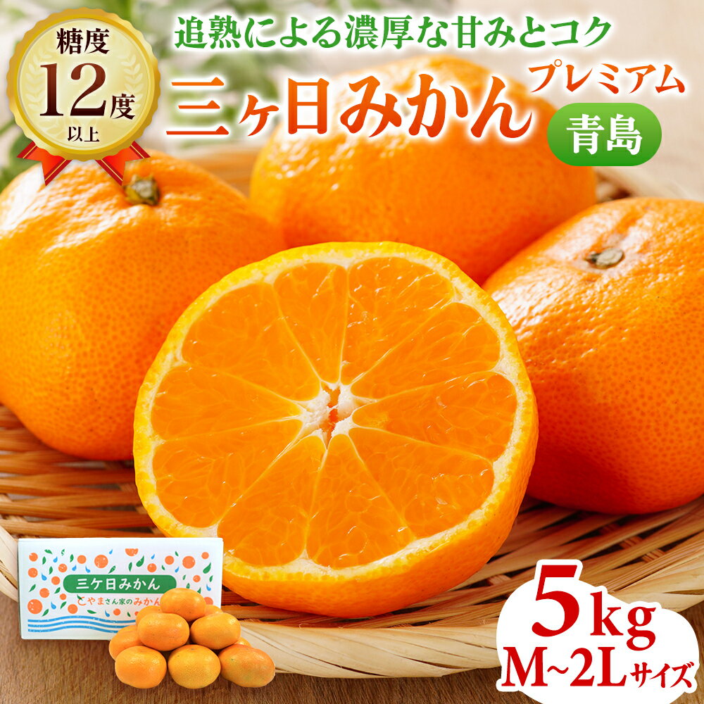 【ふるさと納税】【2025年12月下旬より順次発送】三ヶ日みかん プレミアム（青島5kg）果物 柑橘 フルーツ デザート 食後 おやつ 糖度 箱詰め 濃厚 冬の味覚 静岡県産 産地直送 ビタミン サイズ混在 静岡県 浜松市　お届け：2025年12月下旬～2026年2月上旬