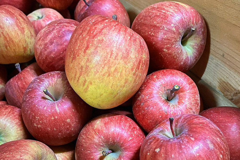 【寄附金額見直しました】【26年2月～発送】りんご サンふじ【贈答用】約5kg 小玉 森山ファーム [サンふじ りんご 贈答 おもてなし 小玉 果物 フルーツ 林檎 リンゴ くだもの 森山ファーム 青