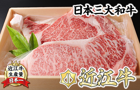 【6月発送分】 極上 近江牛 ステーキ セット 400g ( 200g × 2枚 ) 冷凍 【CB17W-6m】 近江牛 牛肉ステーキ サーロイン リブロース