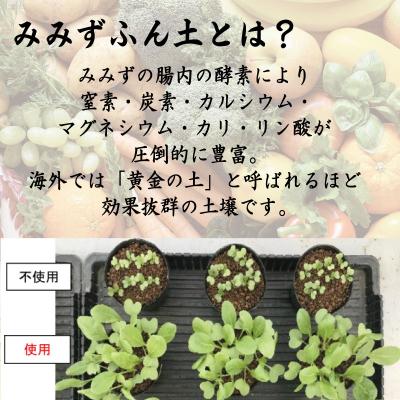 ふるさと納税 小松島市 堆肥 30L (15kg) 肥料 たい肥 みみず ミミズ みみず太郎