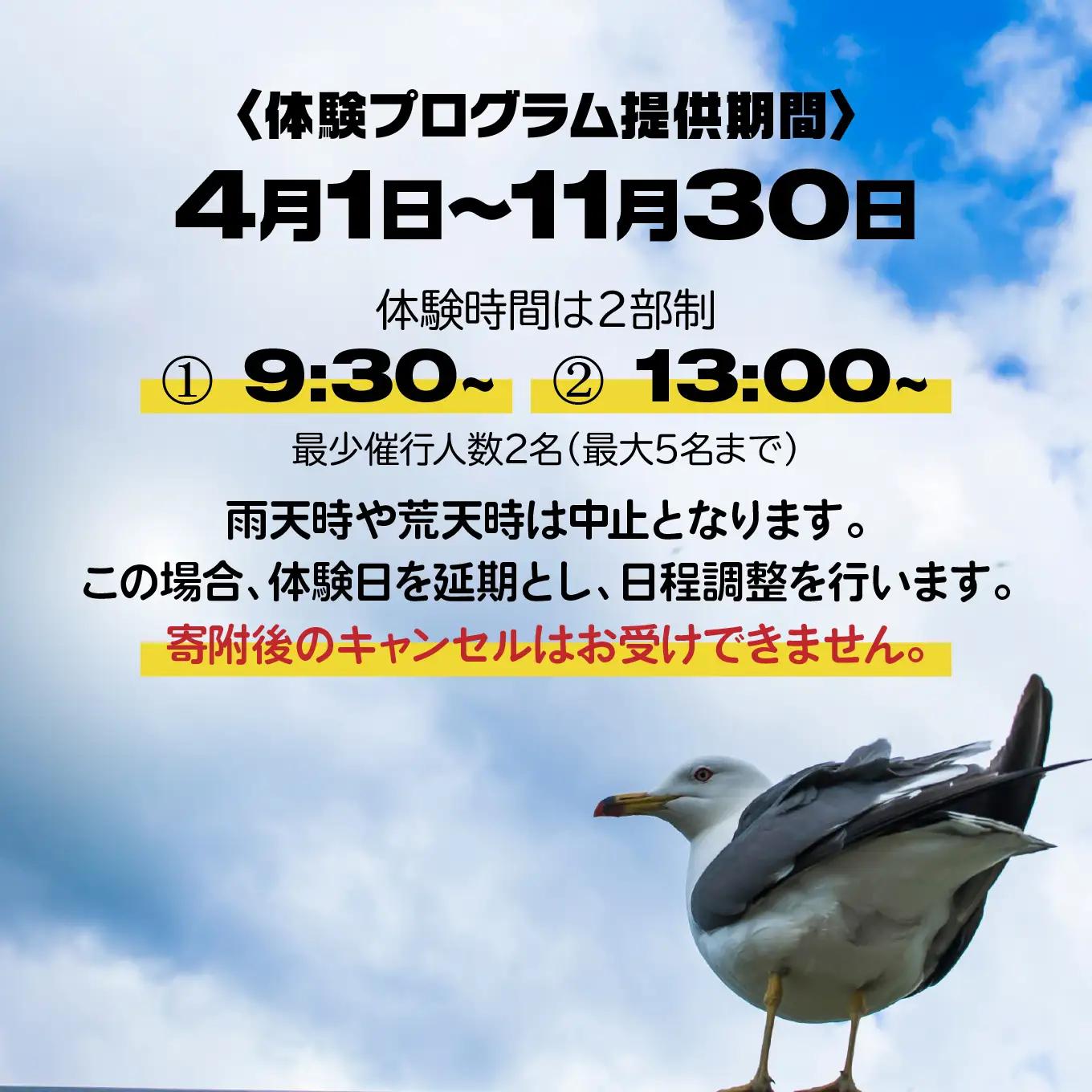 カイタック（OUTDOORBOX RIVERRUNS） うみねこ舞う蕪島でシーカヤック体験 アクティビティ チケット 青森県 八戸市