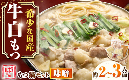 【厳選国産牛使用】博多もつ鍋 みそ味 2-3人前[BGAI022]国産牛もつなべ味噌