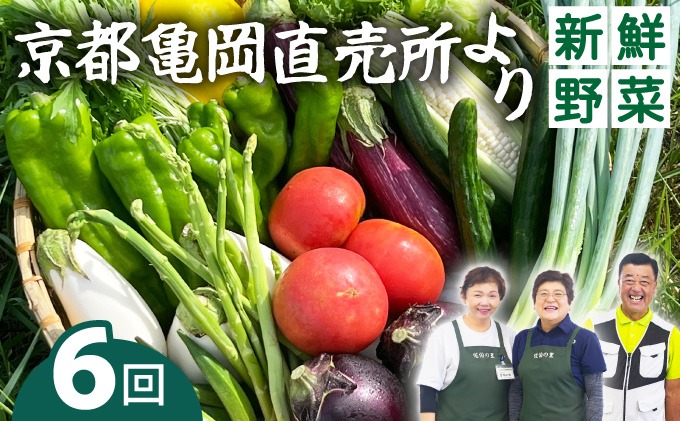 野菜 定期便 直送 6回 朝採れ 7～10品目 京都丹波 亀岡 佐伯の里 訳あり生活応援 家計応援 ※北海道・沖縄・離島への配送不可