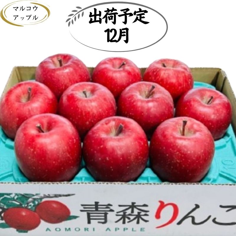 【ふるさと納税】【12月発送】特A 濃厚サンふじ約3kg　糖度13度以上【青森りんご・マルコウアップル】 　お届け：2025年12月1日～2025年12月30日
